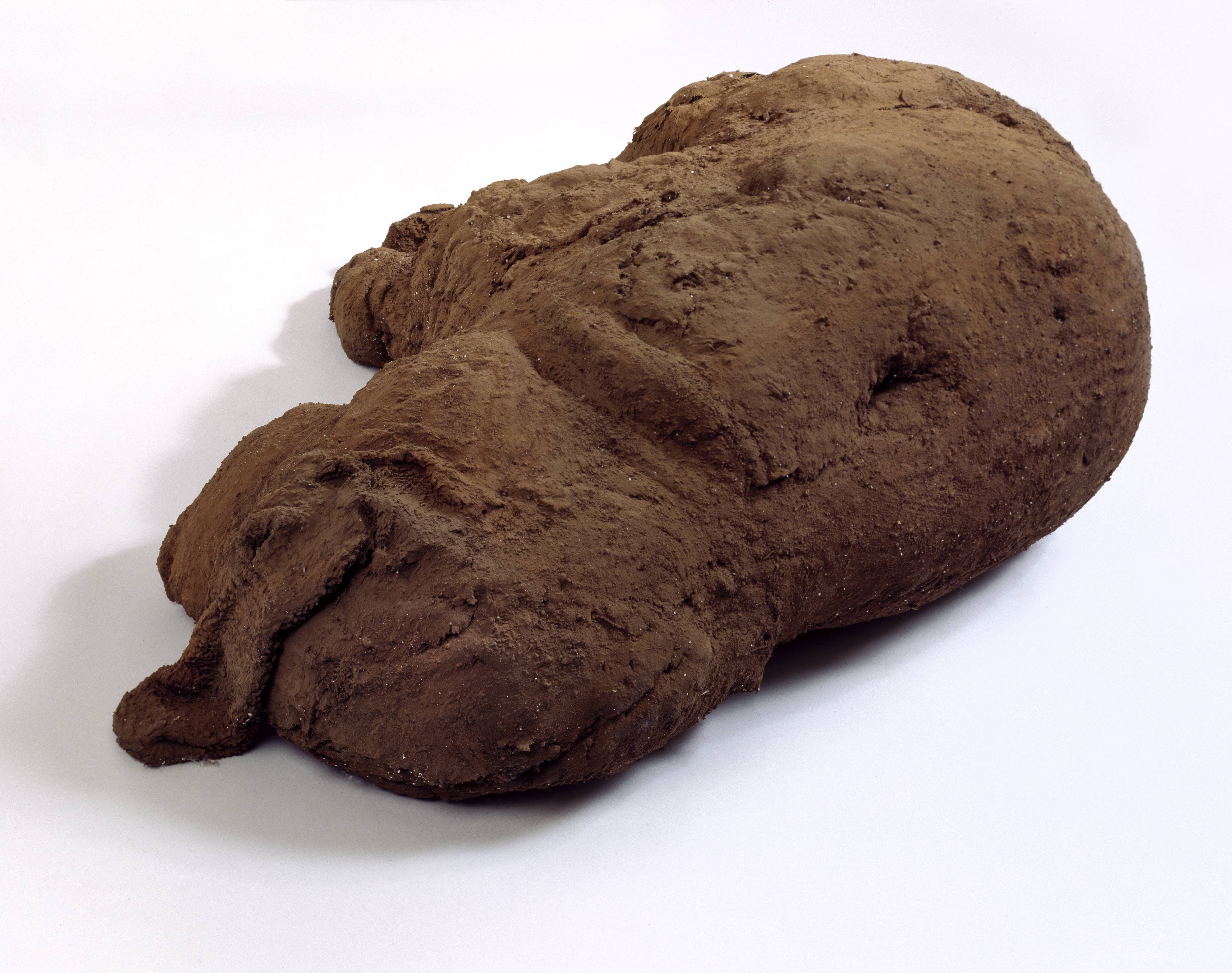 Untitled (Mud animal)