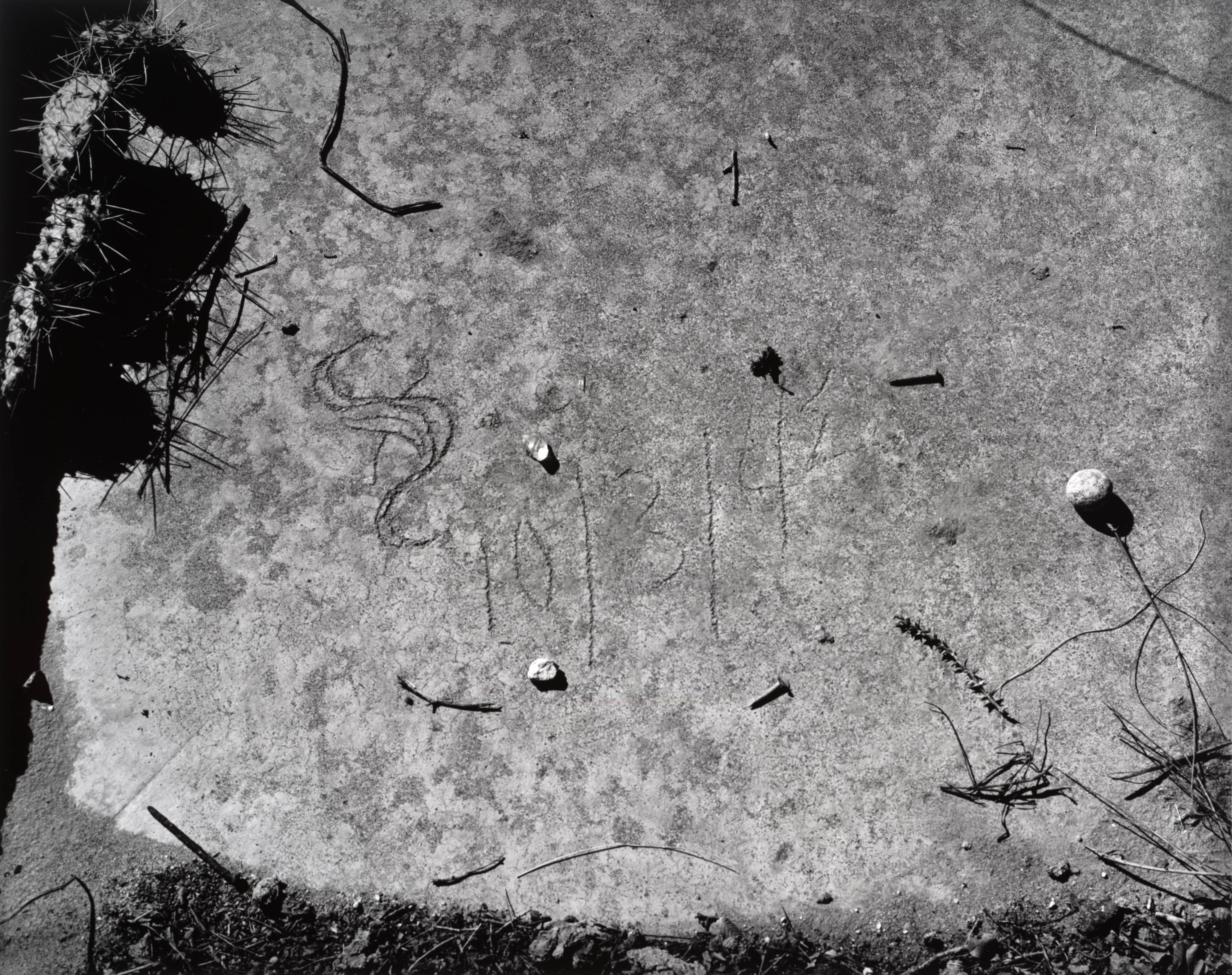 Amache Relocation Camp, CO, 1996, from the series Promised Land