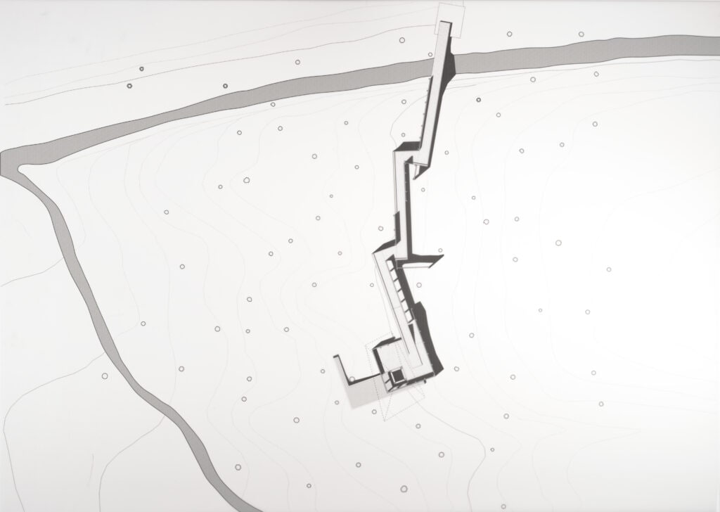 Forest Site (Plan)