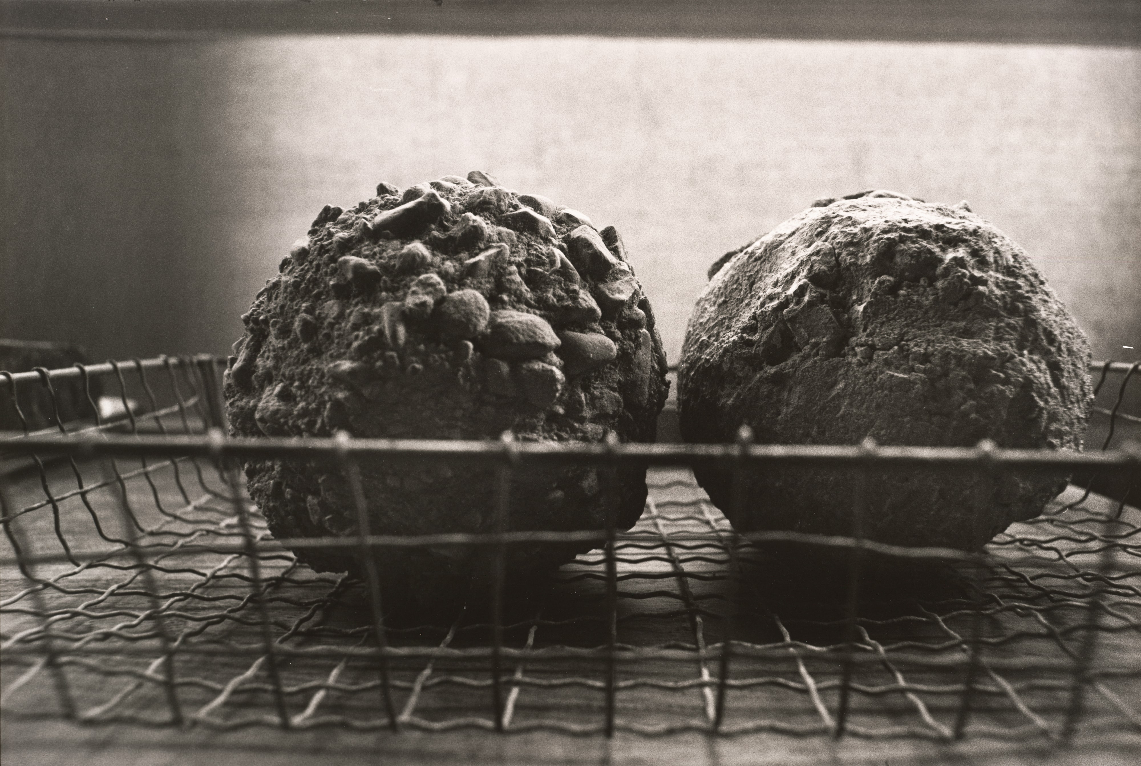 Concrete Acorns in Wire Basket