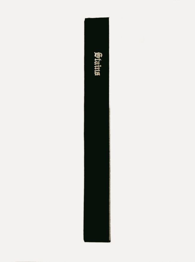 Stains (A Book by Ed Ruscha)