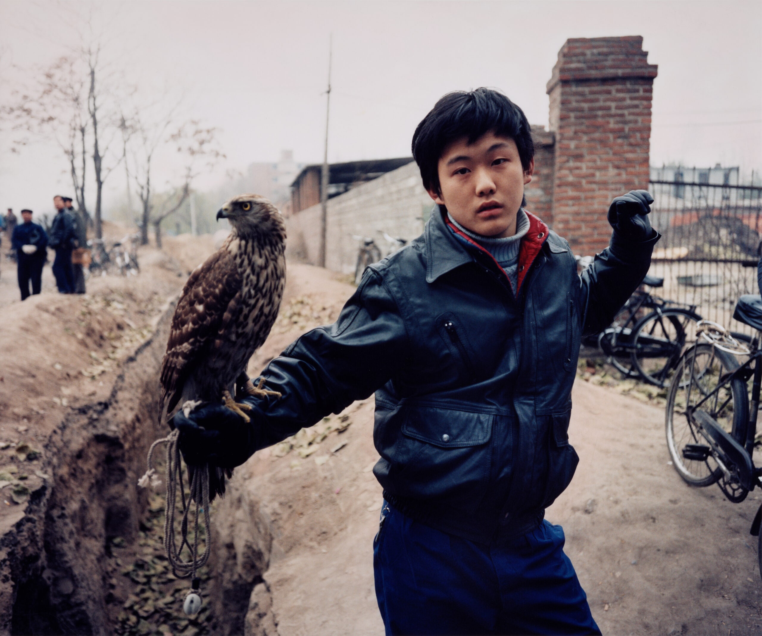 Boy and Hawk, Beijing