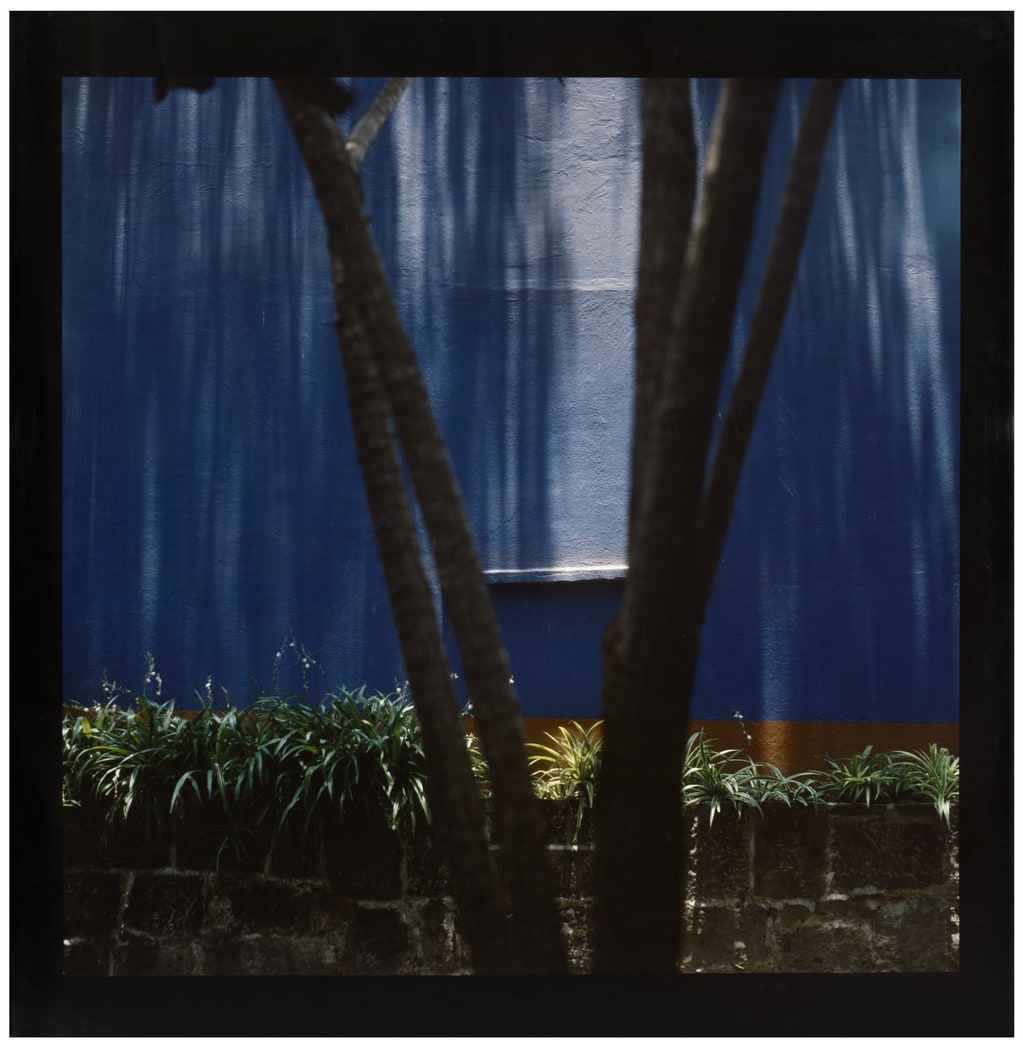 Untitled (V-shaped Tree), from the series Frida's Blue House