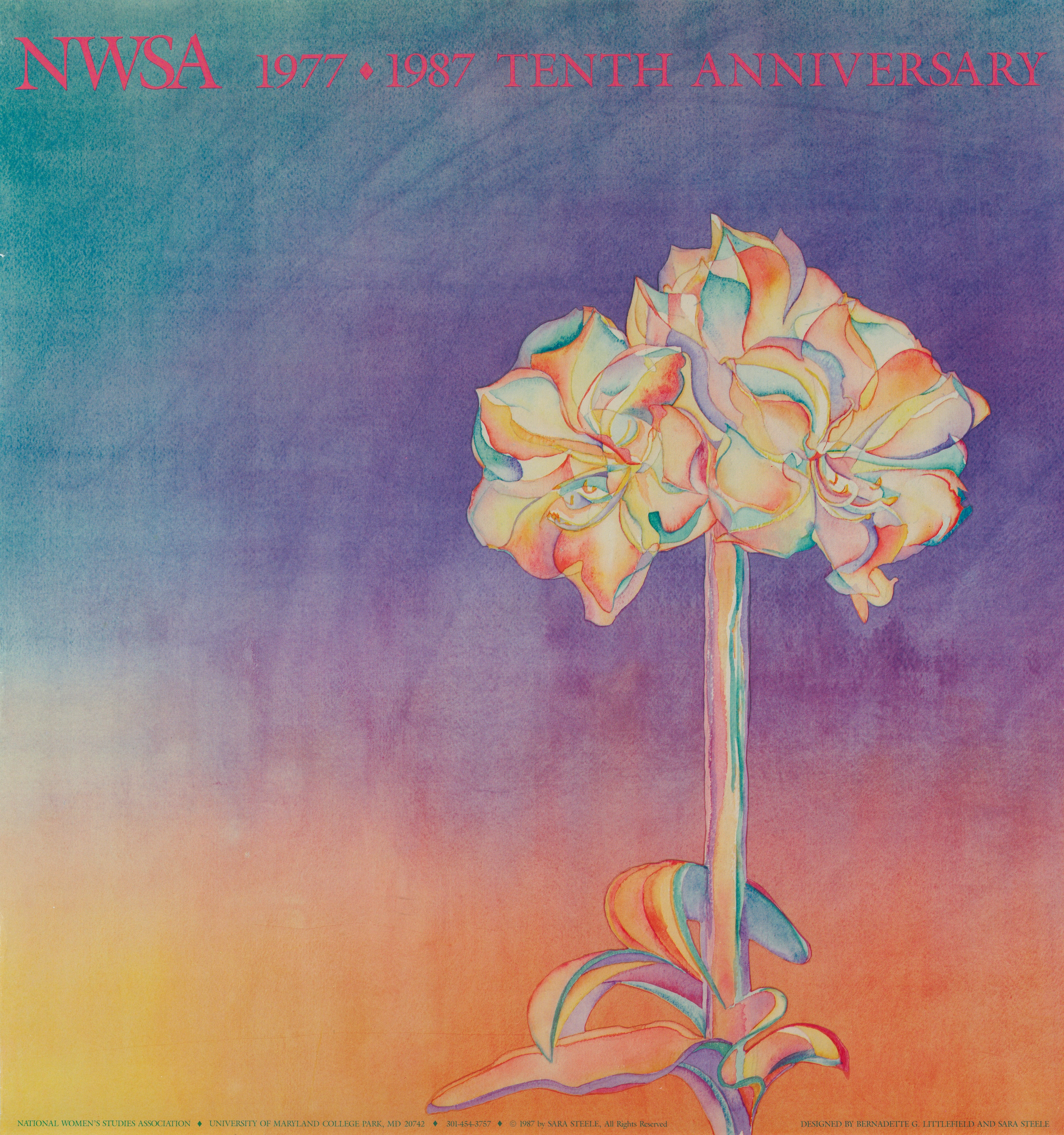 NWSA (National Women's Studies Association) Tenth Anniversary