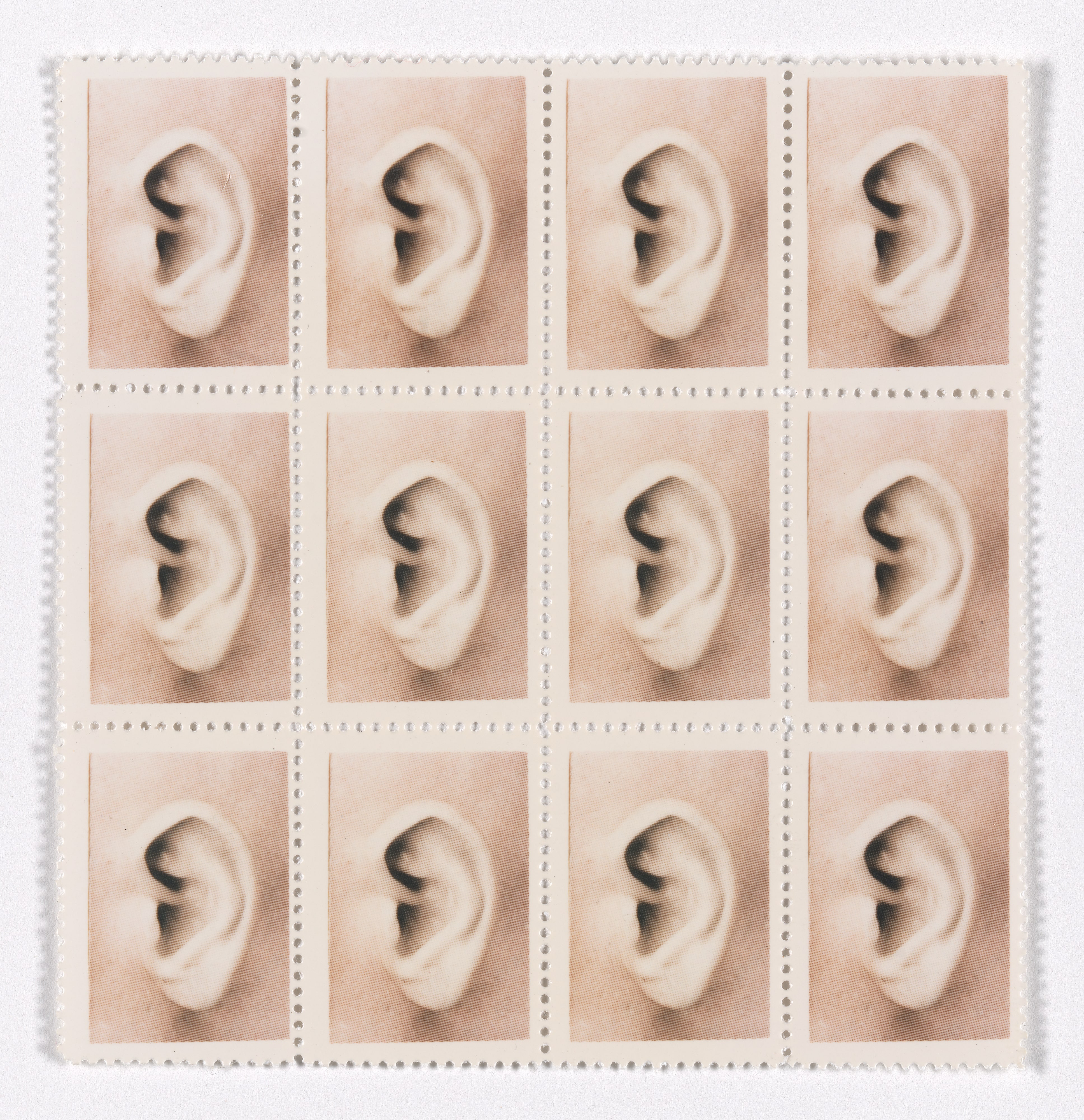 Mapplethorpe Ear