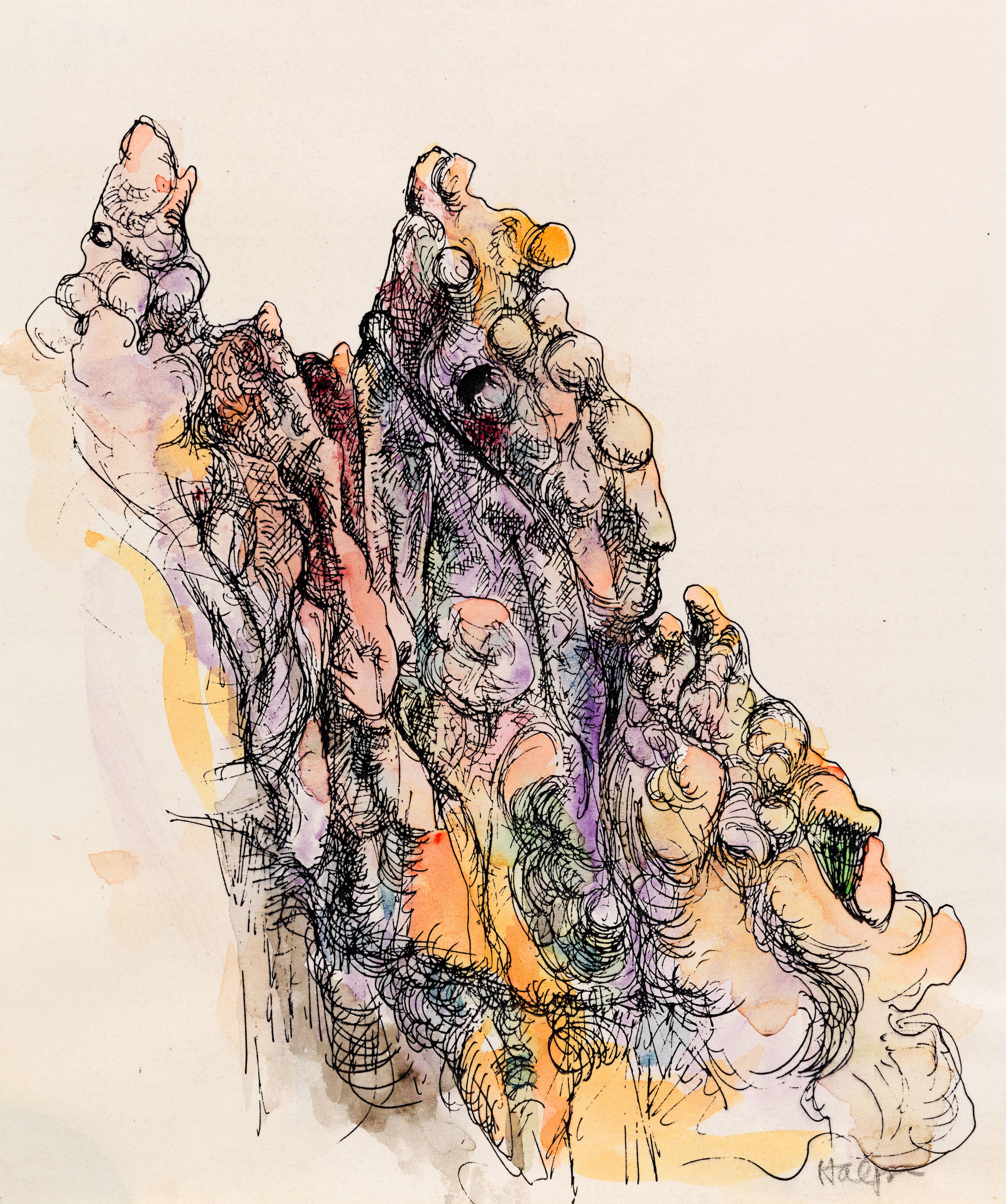 Sea Ranch Rock Study