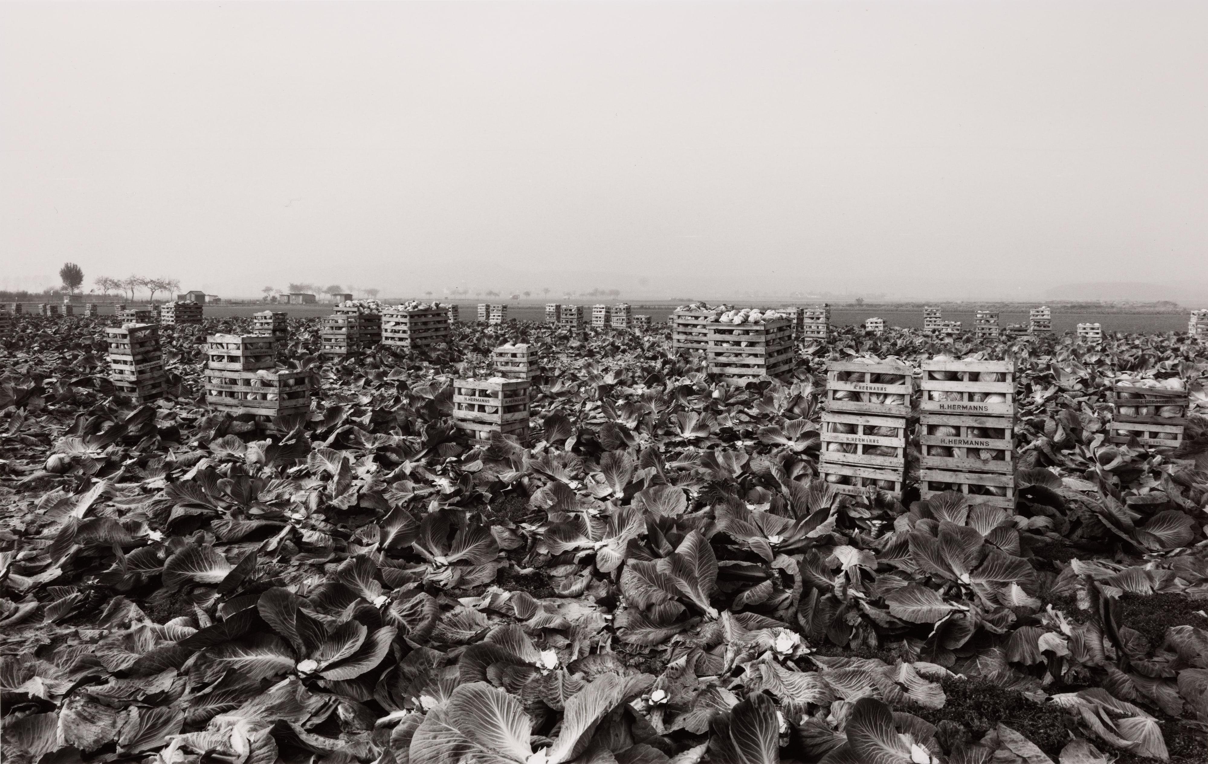 Ronnenberg (Hannover), 1978