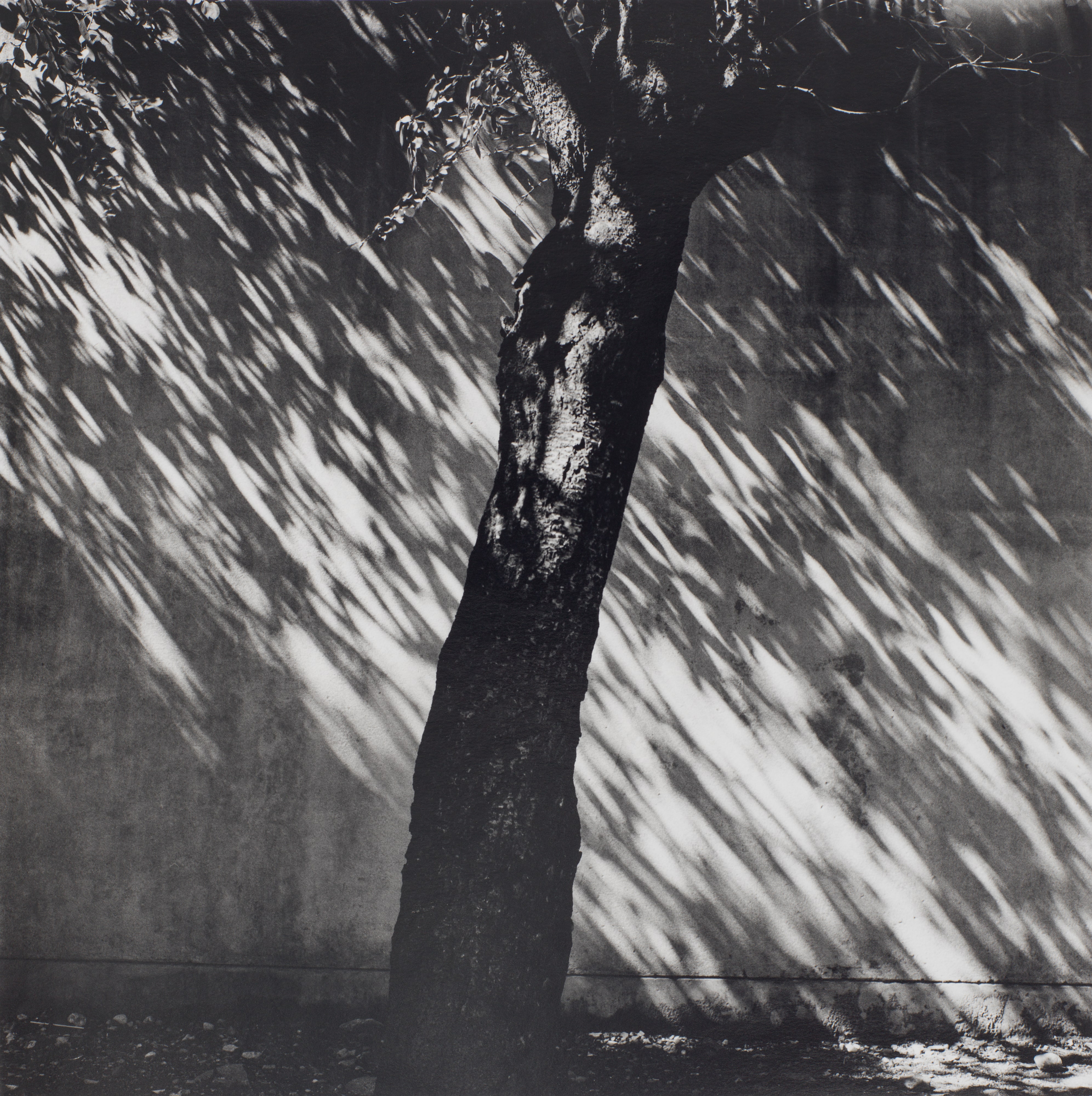 Tonami, Toyama, from the series Fushi Kaden