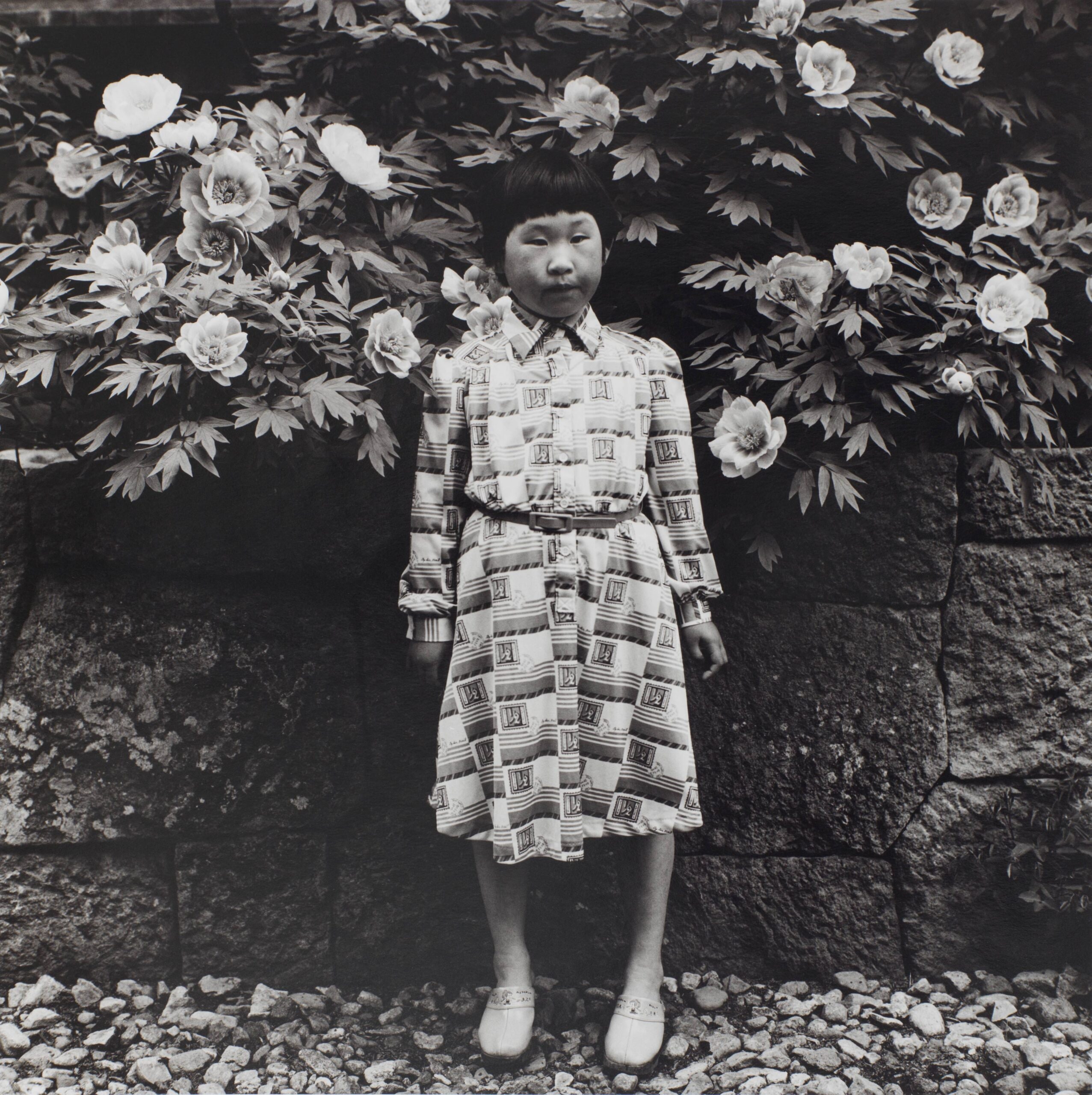 Botan-Matsuri, Festival, Shiobara, Myoun-ji Temple, Tochigi, from the series Fushi Kaden