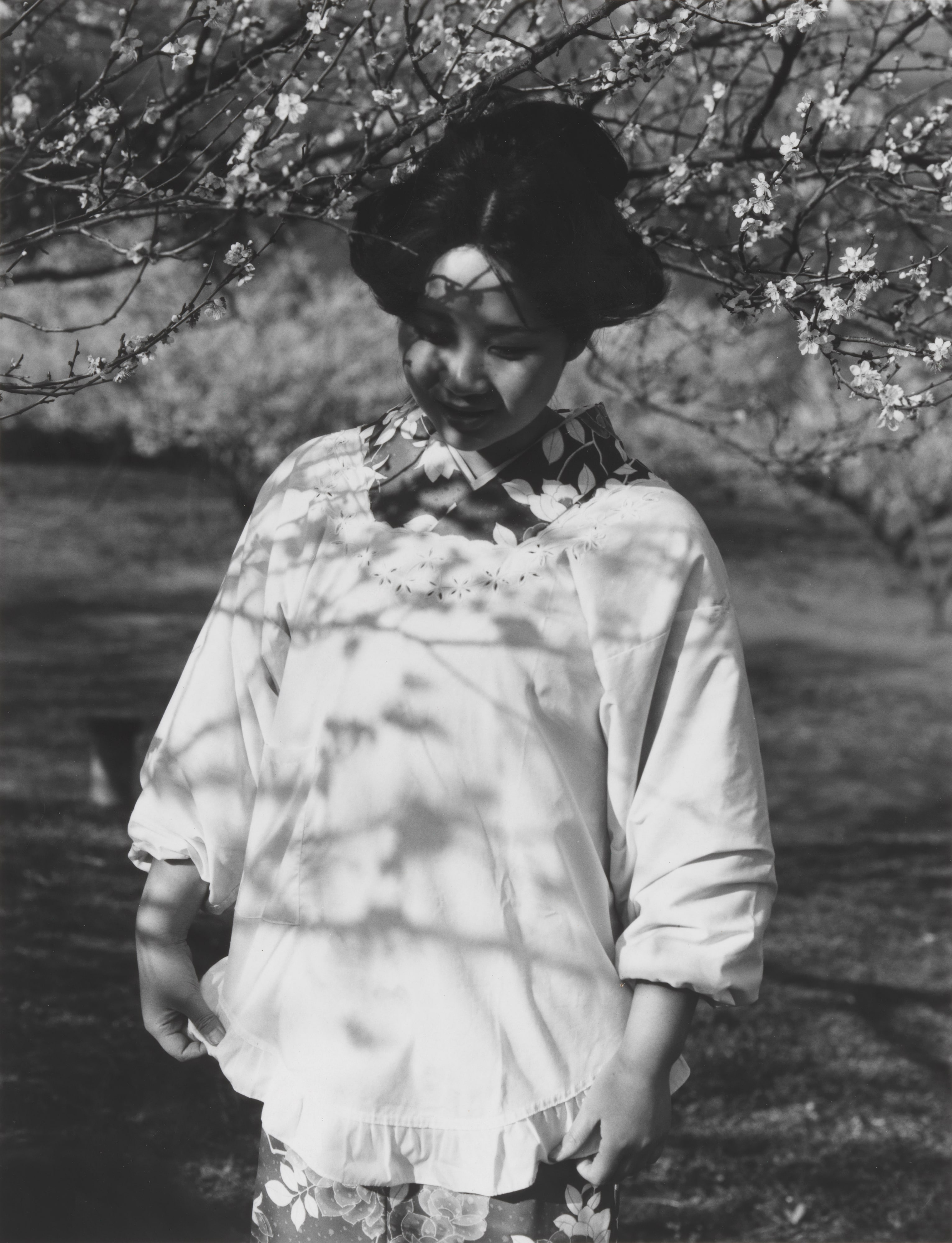 Annaka, Gunma, from the series Fushi Kaden