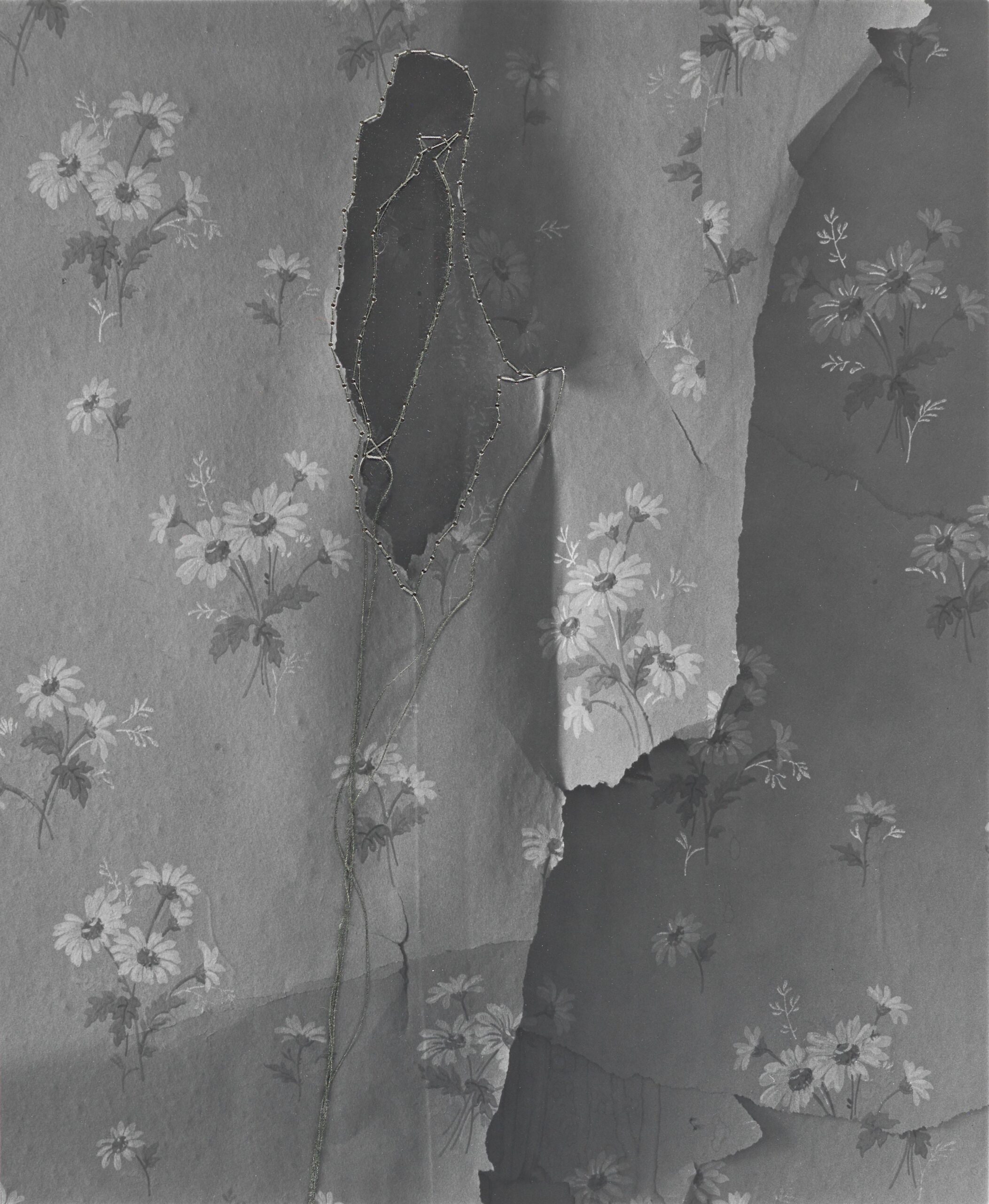 Wallpaper #1, from the portfolio Out of State
