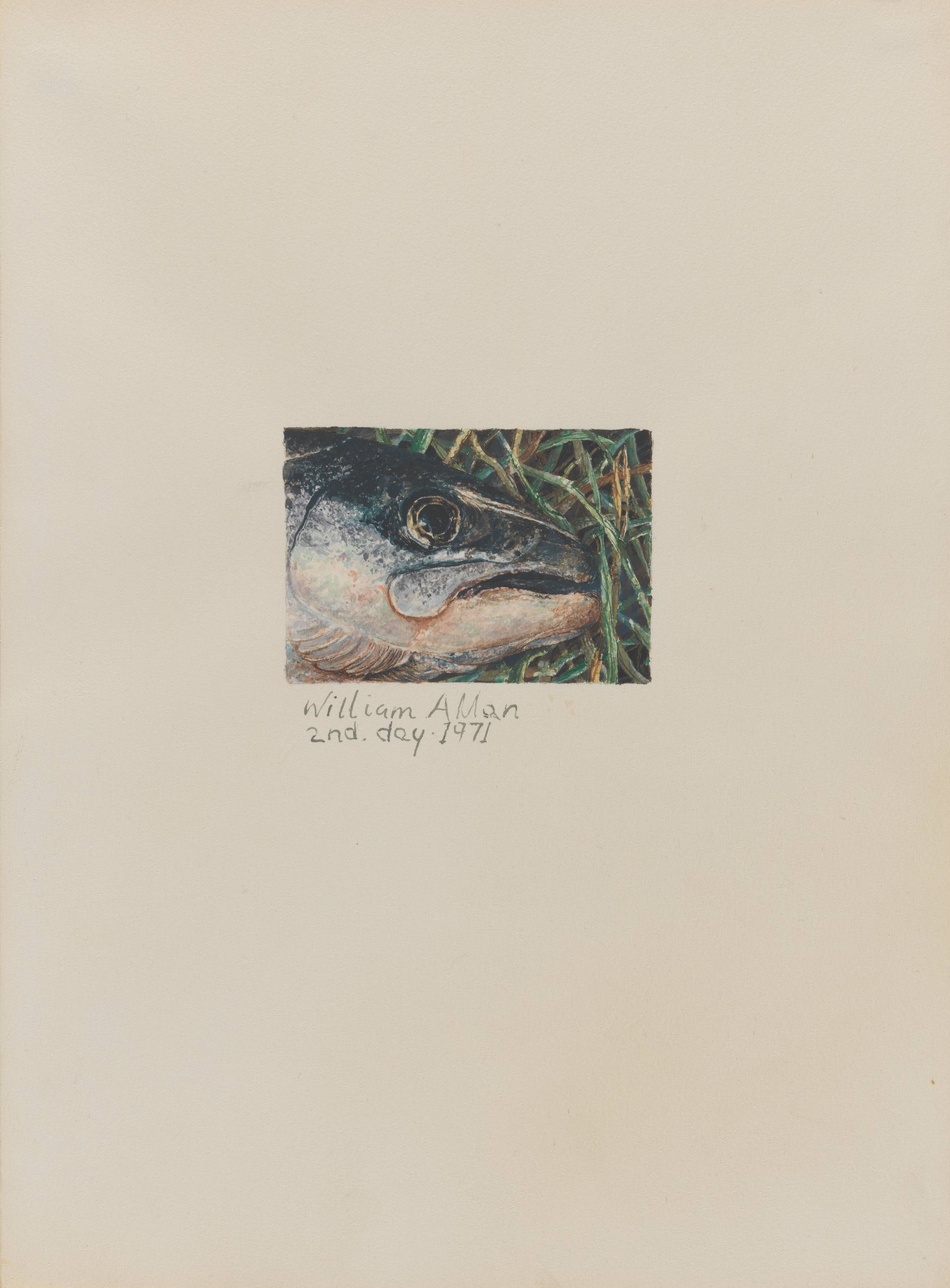 Salmon Head