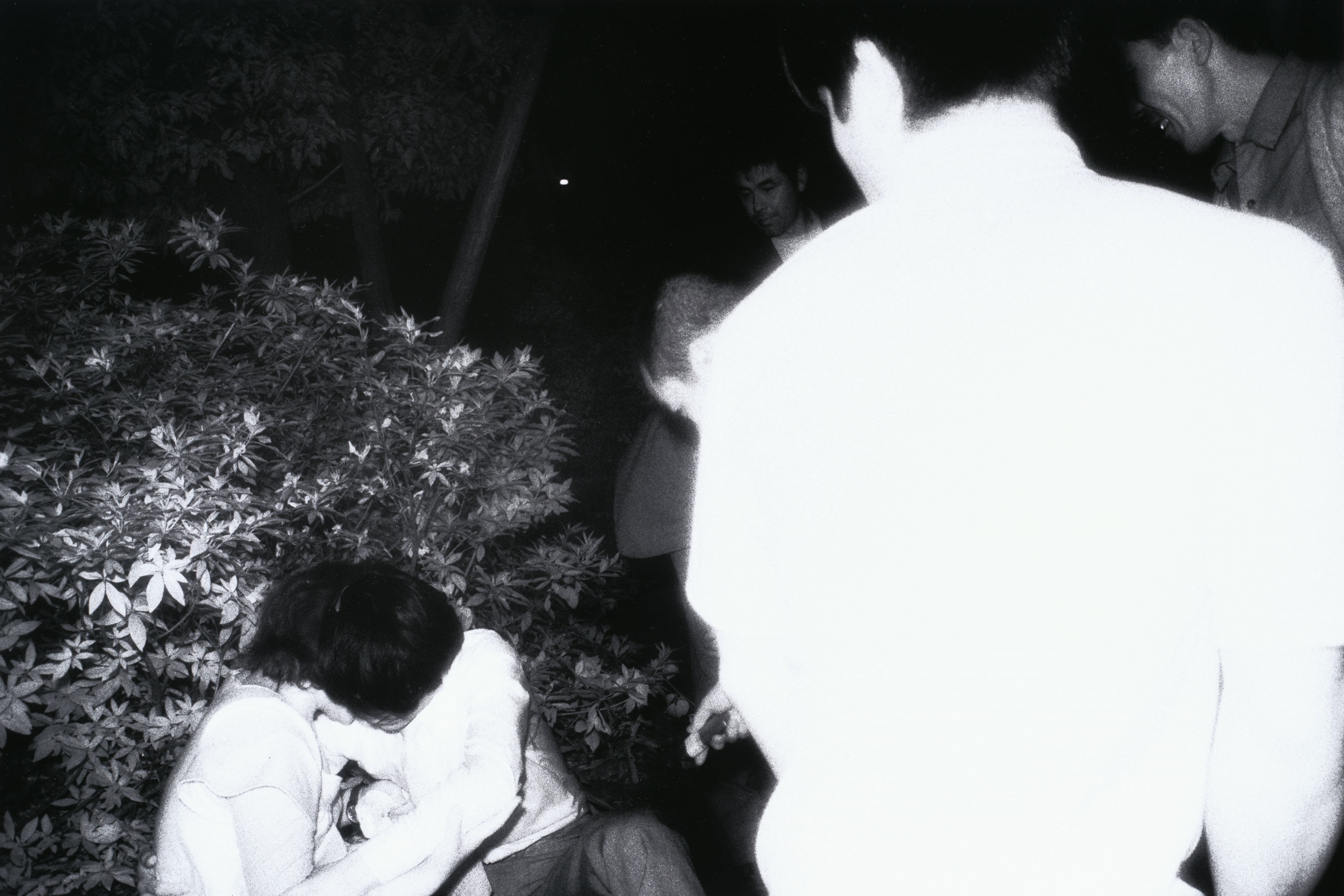 Untitled, from the series The Park