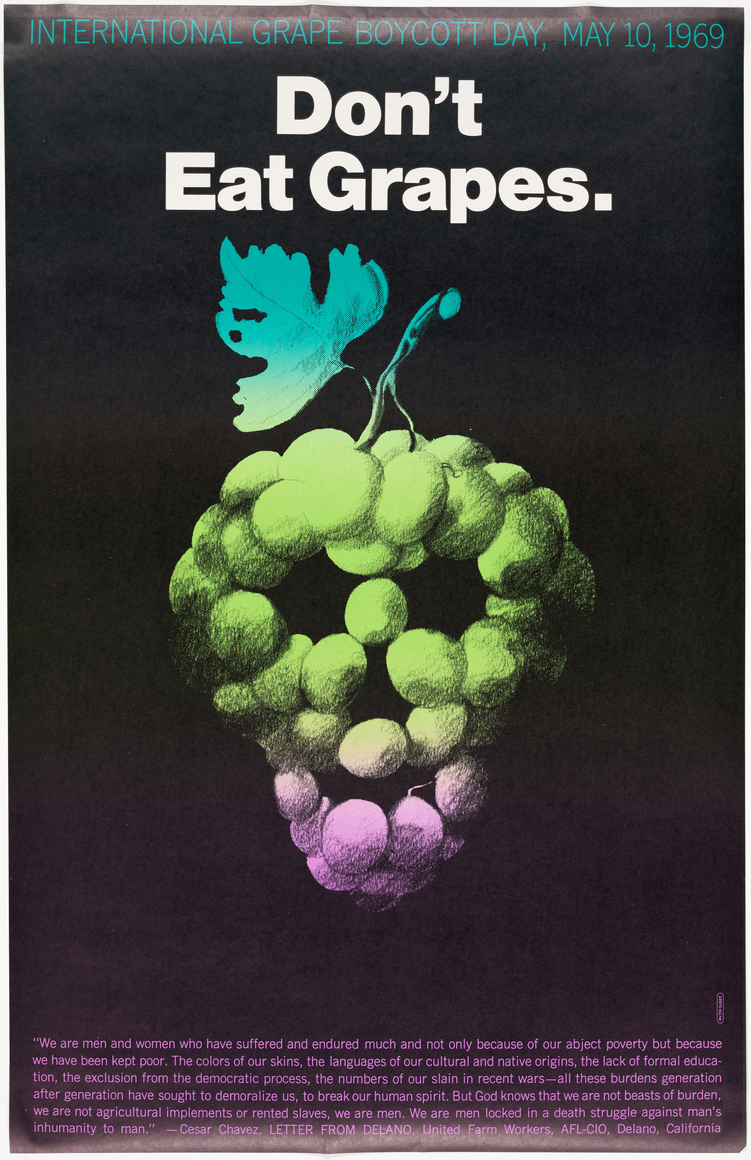 Don't Eat Grapes: International Grape Boycott Day