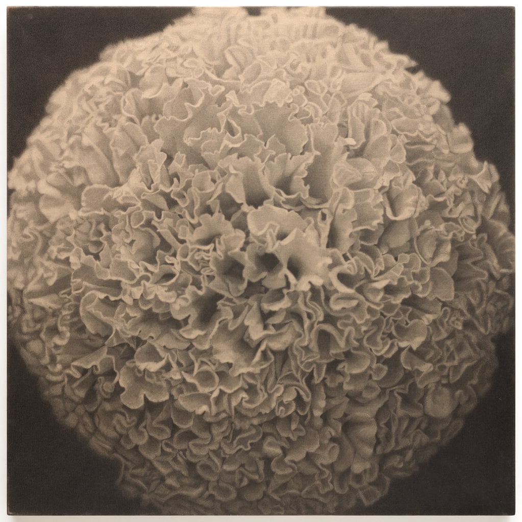 Yellow Mum