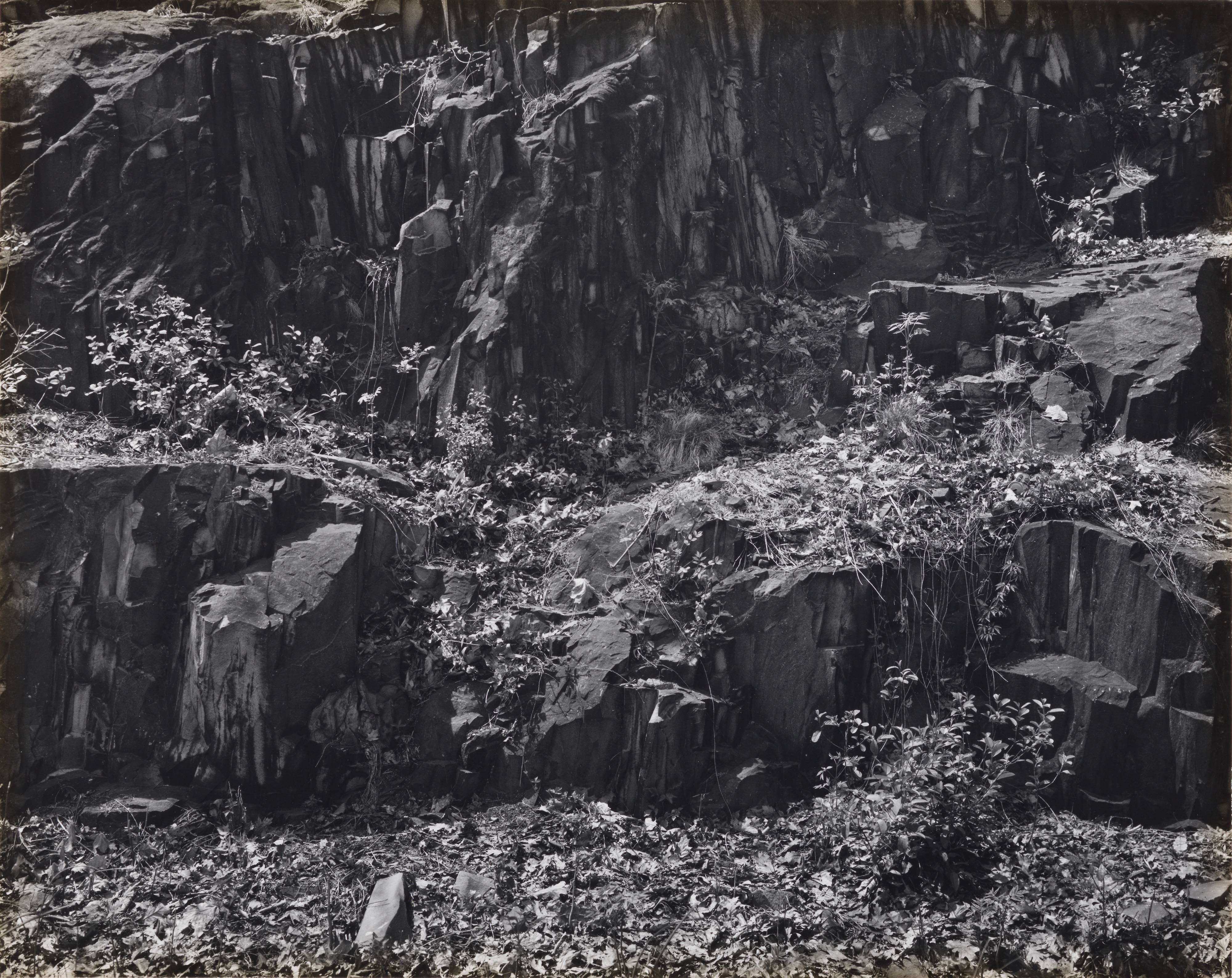 Rock Ledges, Garret Mountain, May, 1967, from the portfolio Paterson