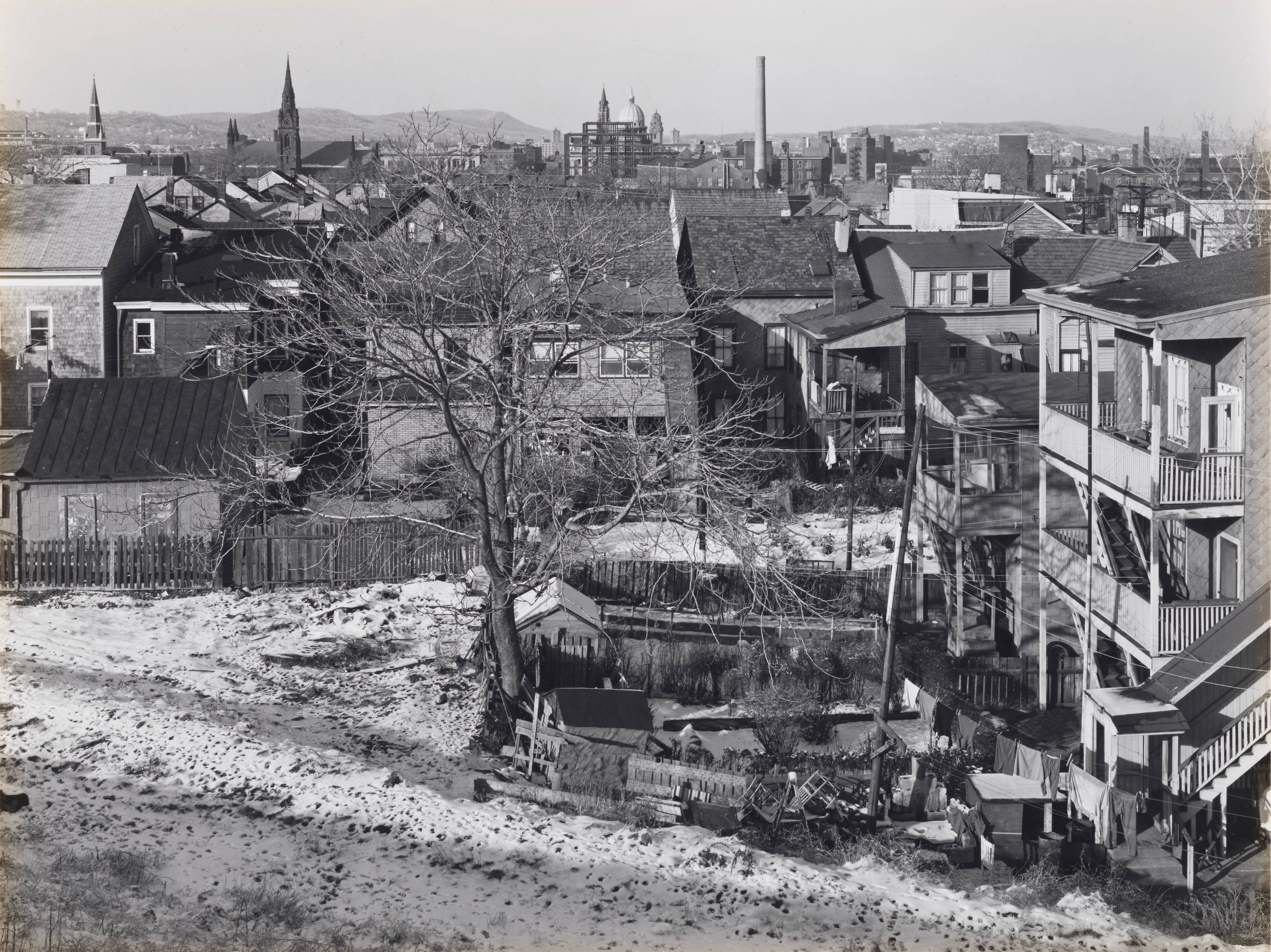 Backyards, 20th Avenue & Spring Street, December, 1967, from the portfolio Paterson
