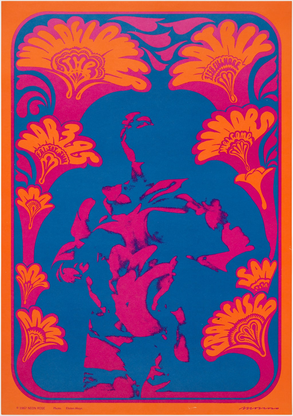 The Wildflower (NR 9)