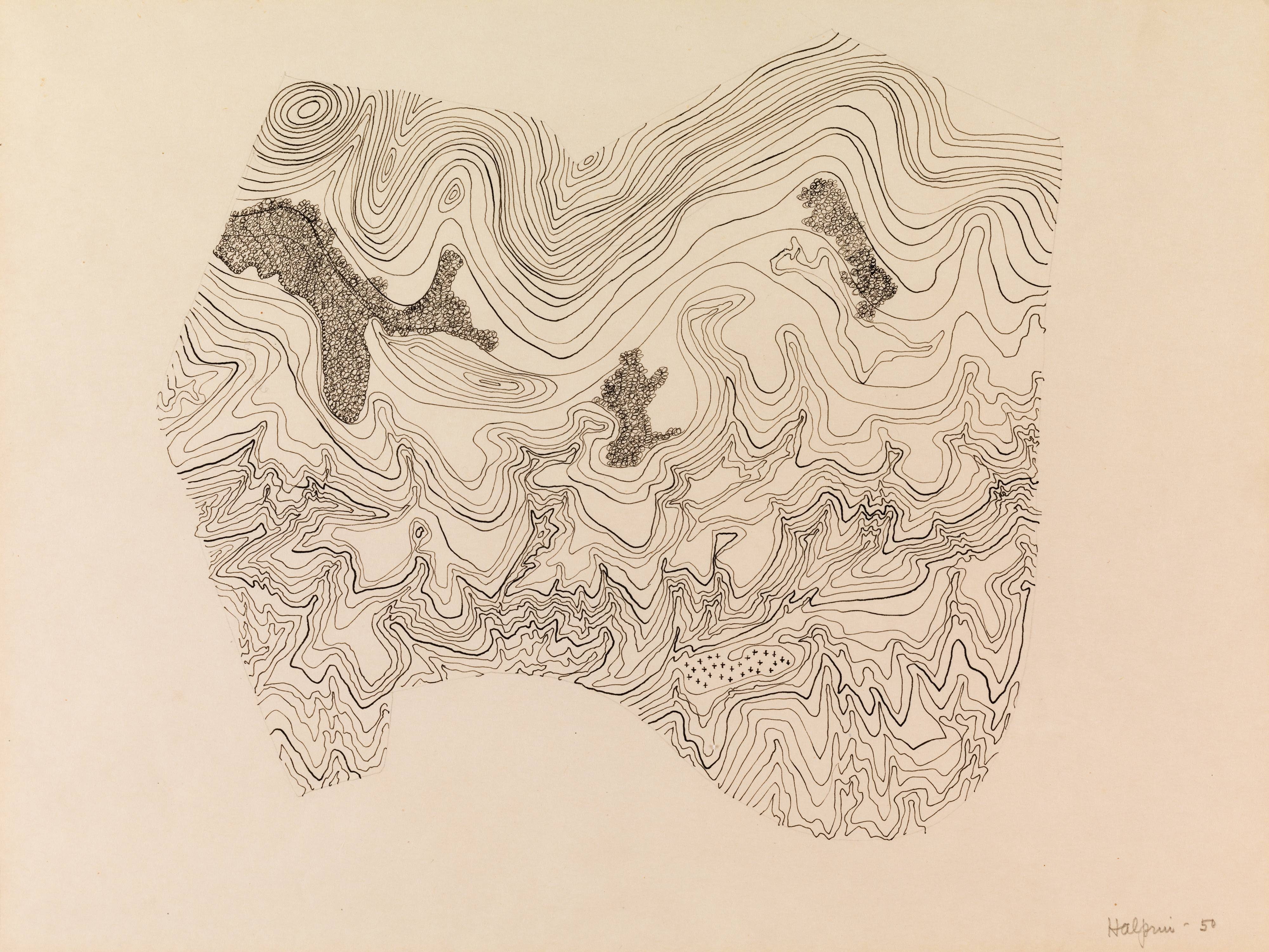 Topographic Study