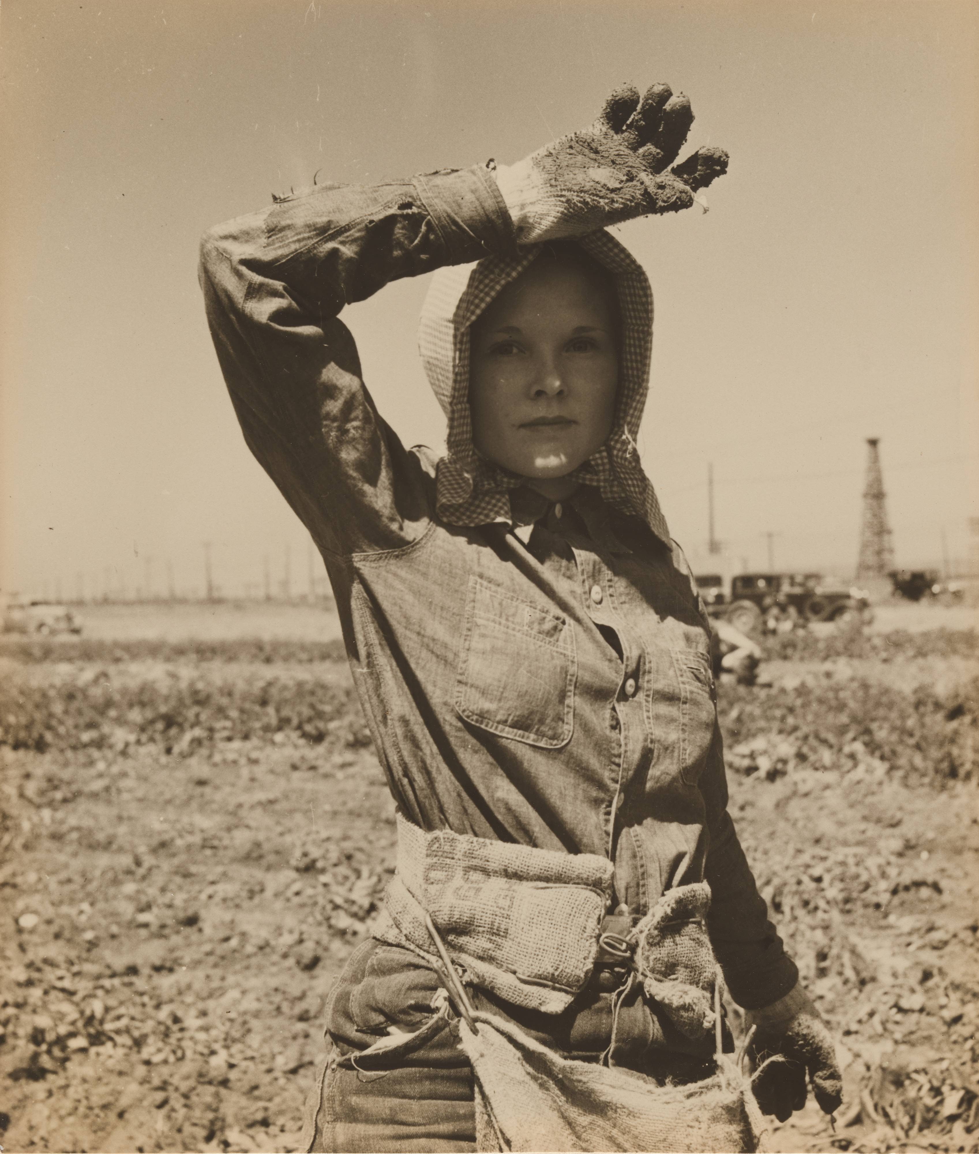Potato Picker, West Side