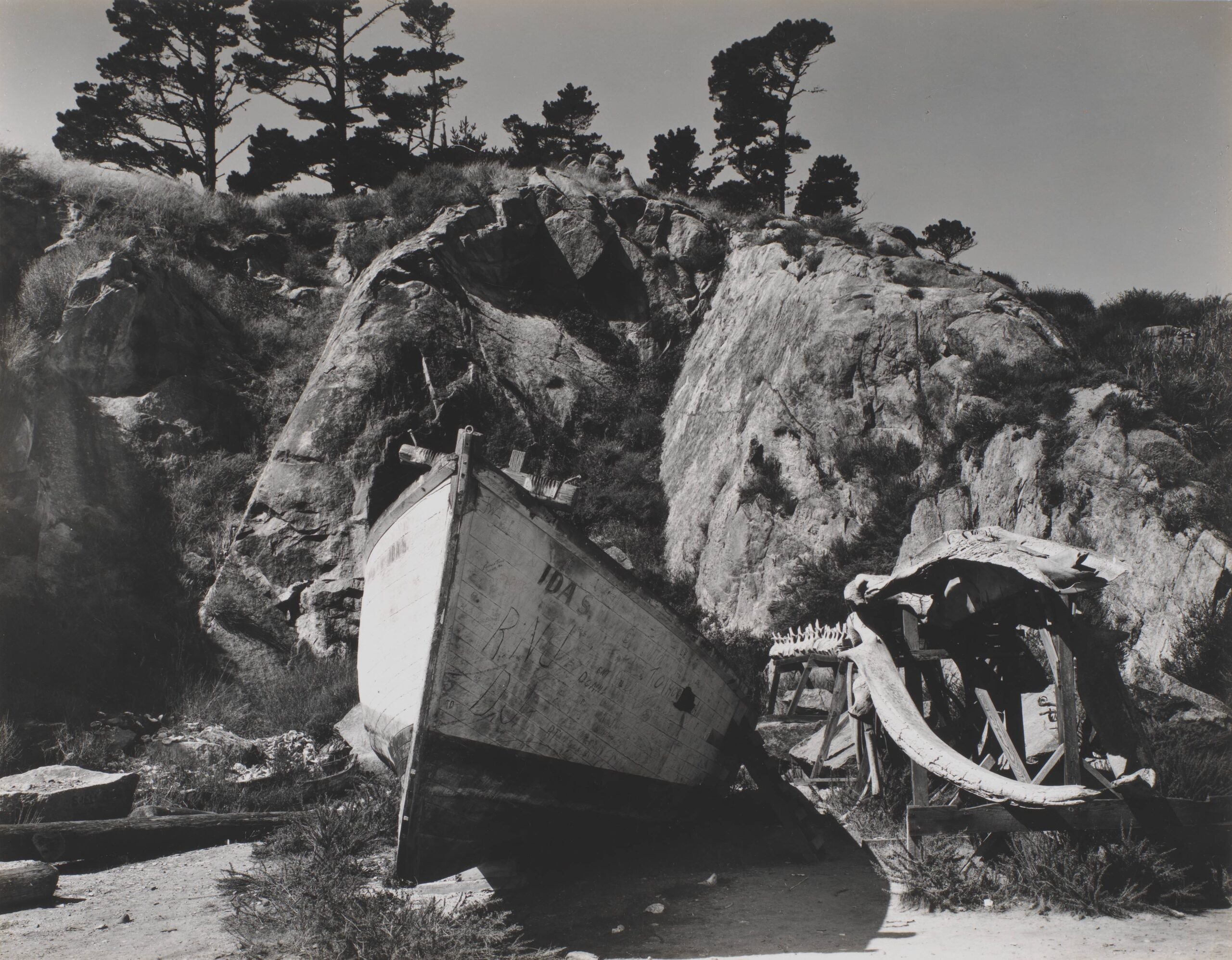 Fisherman's Cove, Point Lobos