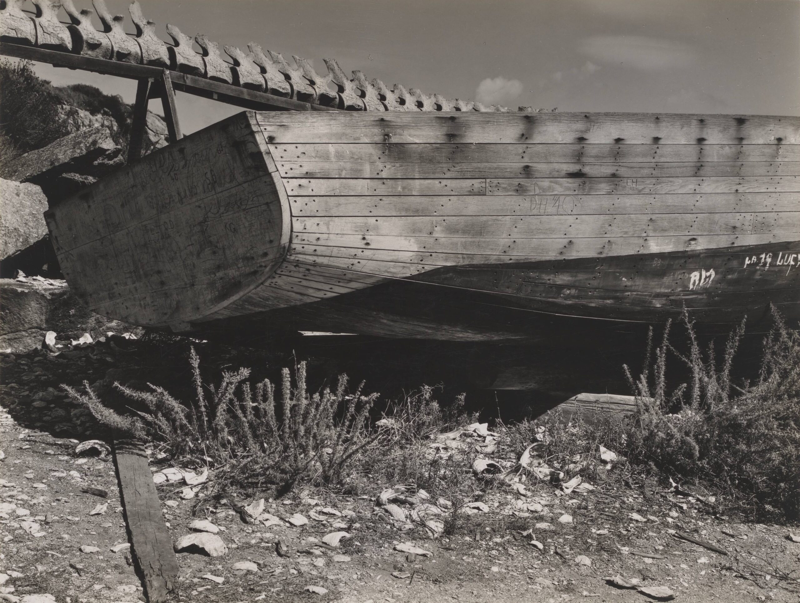Boat, Point Lobos #2