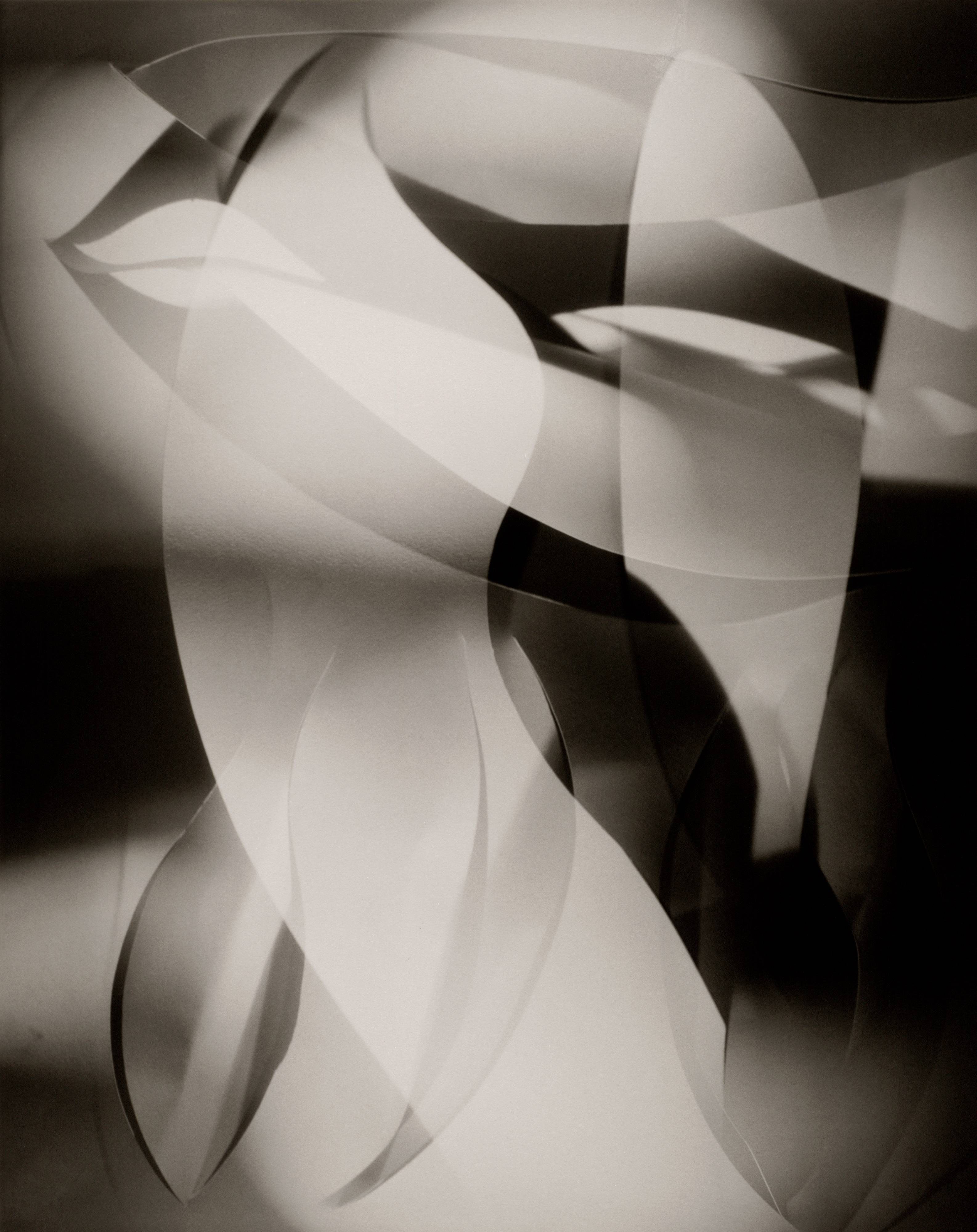 Cut-paper Abstraction