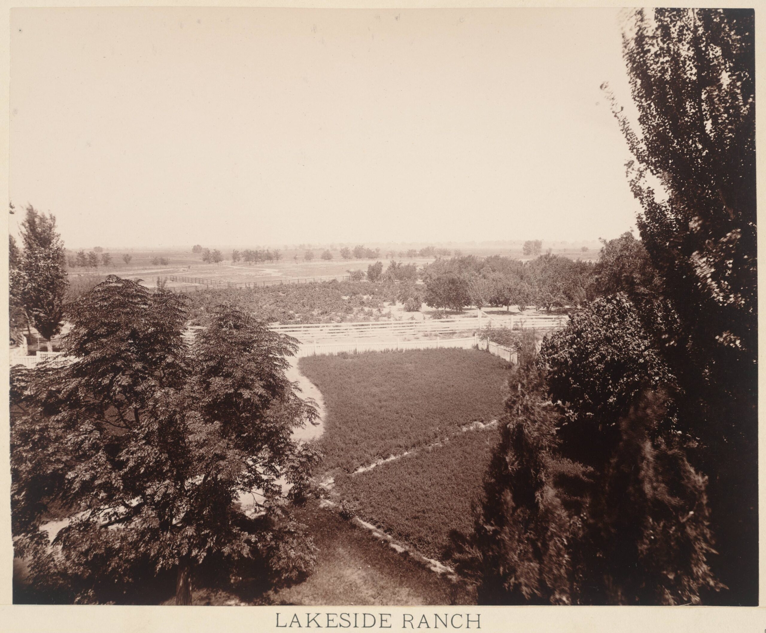 Lakeside Ranch, Old Orchard and Vineyard from the Superintendent's House