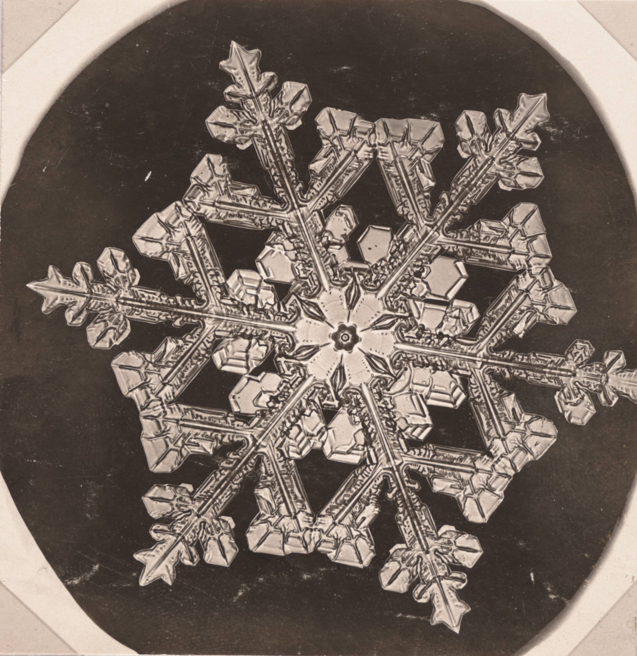 Snowflake