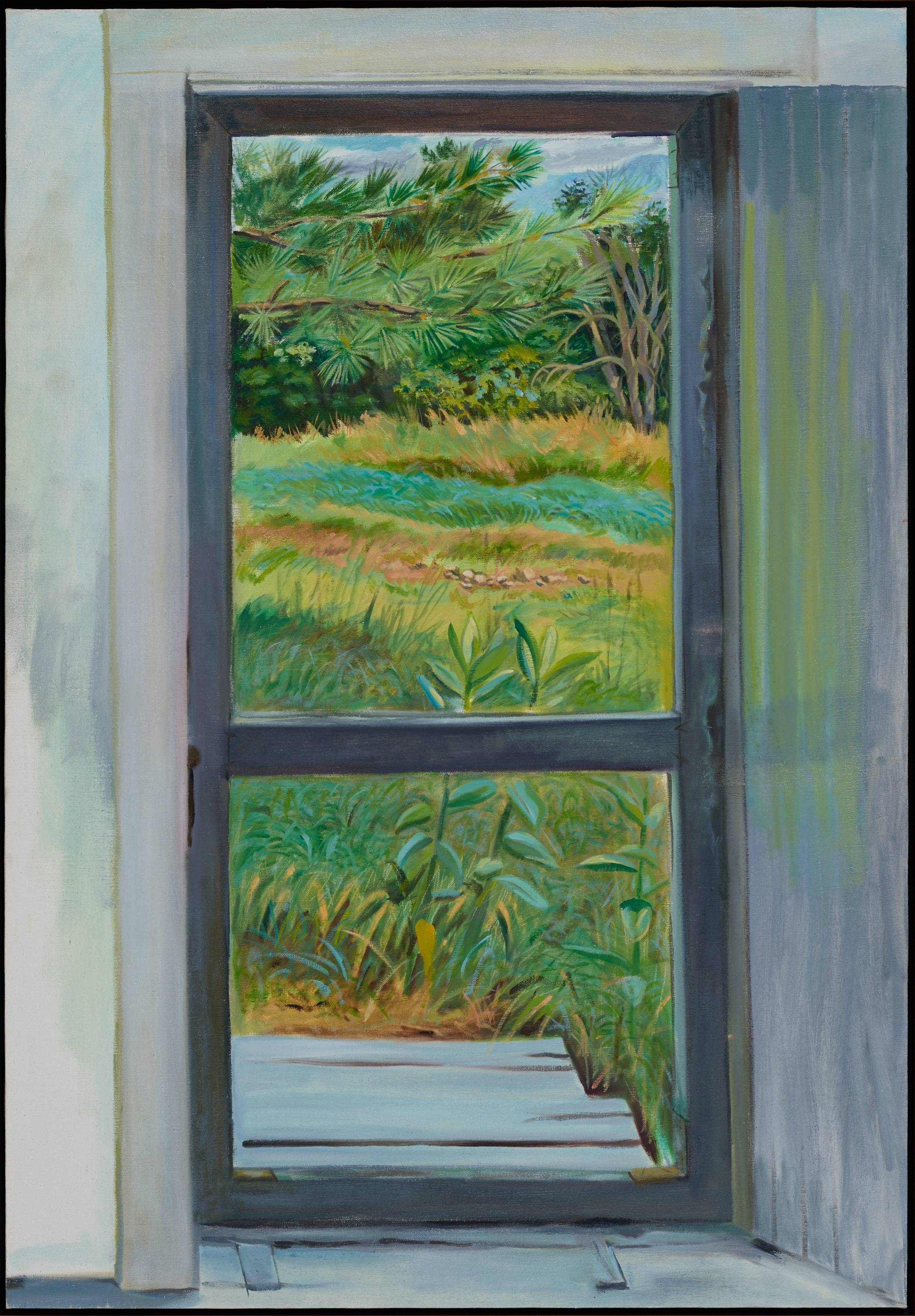 Back Door Landscape