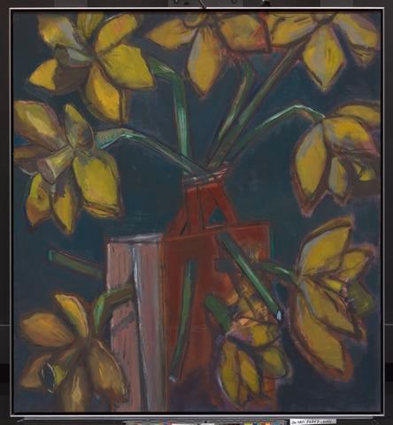Narcissi