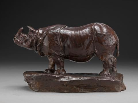 Indian Rhinoceros