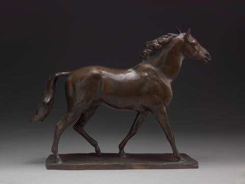 Chamossaire