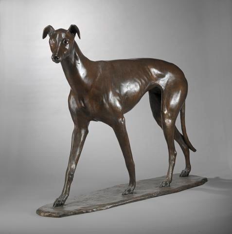 Greyhound