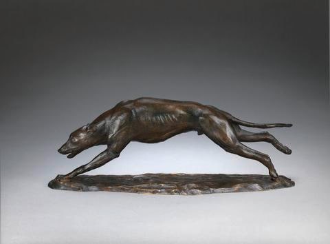 Running Greyhound