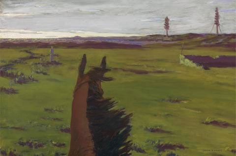 On the Old Racecourse, Sligo