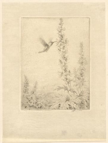Humming Bird