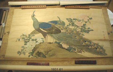 Peacocks and Peonies