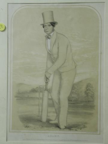 Adams