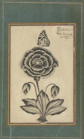 Flower and a Butterfly