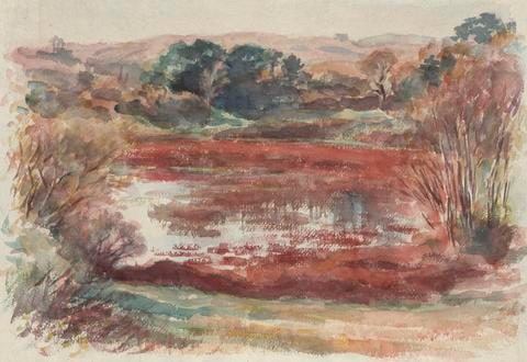 Old Cranberry Bog