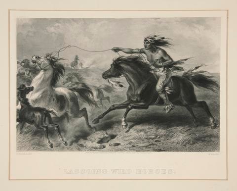 Lassoing Wild Horses