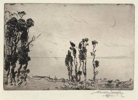 Shore Landscape