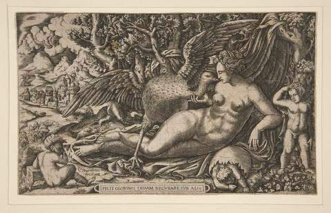 Leda and the Swan