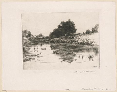 Charles River, Medway