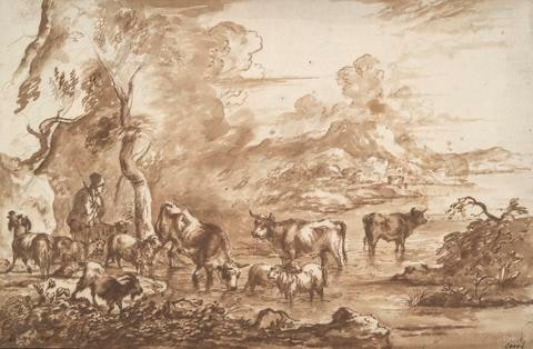 Cattle in a watering place