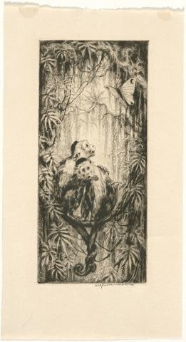 Two Monkeys