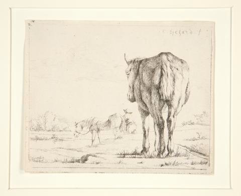 Two Horses Grazing