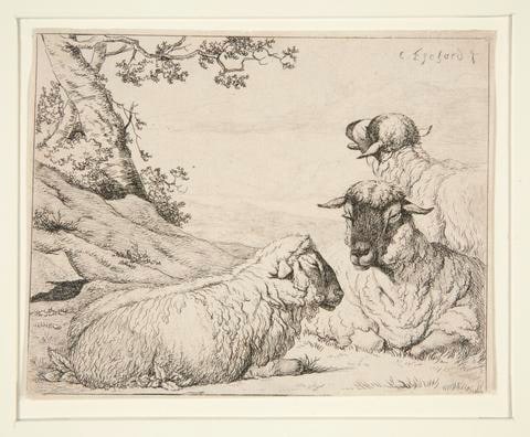Three Sheep