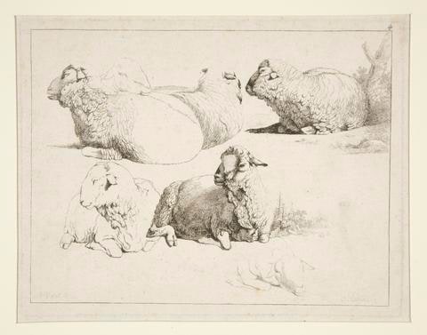 Sheep at Pasture